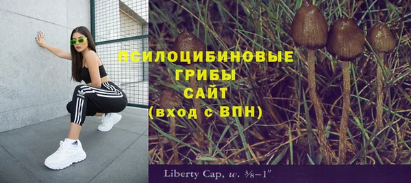 таблы Алексеевка