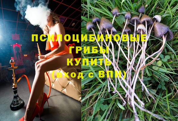 mdpv Алексин