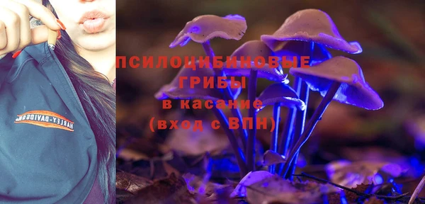СК Алзамай